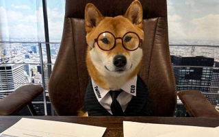 İlon Mask iti “Twitter”in baş direktoru təyin edib