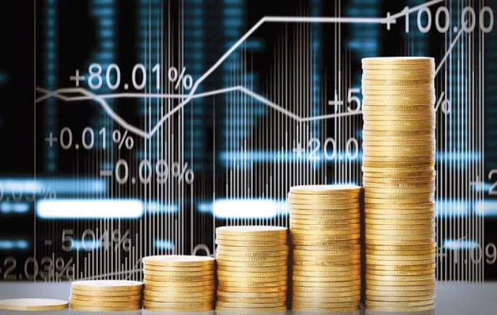 Minimal investisiya ilə 16 gəlirli Biznes ideyası