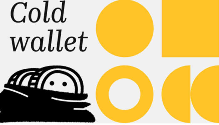 Kriptovalyuta üçün soyuq cüzdanı necə seçmək olar